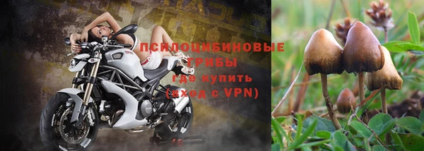 ПСИЛОЦИБИНОВЫЕ ГРИБЫ Зуевка